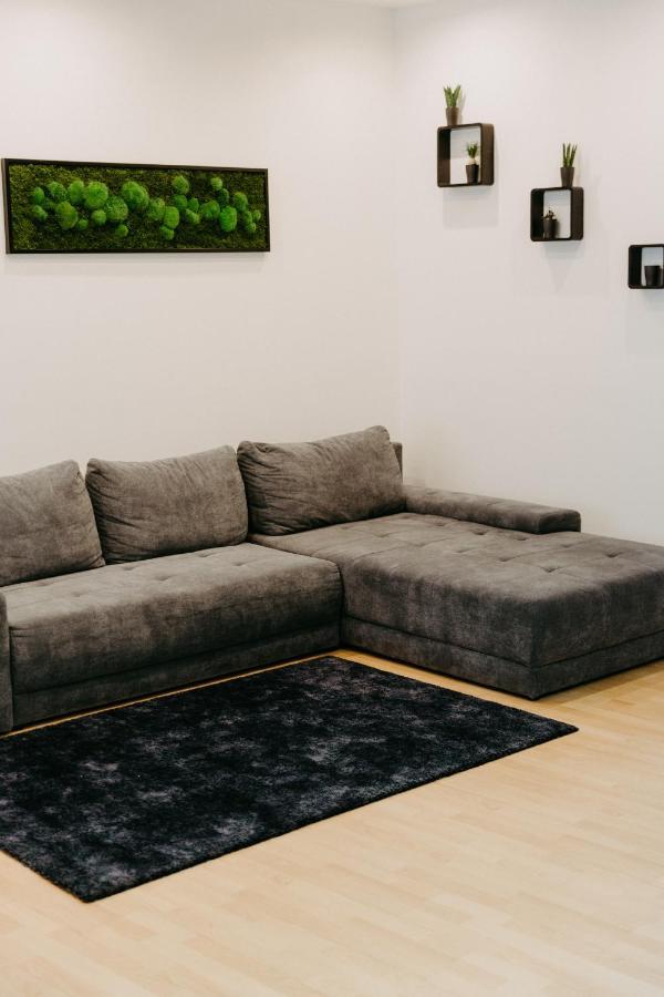 ウィーンModernes, Stilvolles Eingerichtetes Loftアパートメント エクステリア 写真